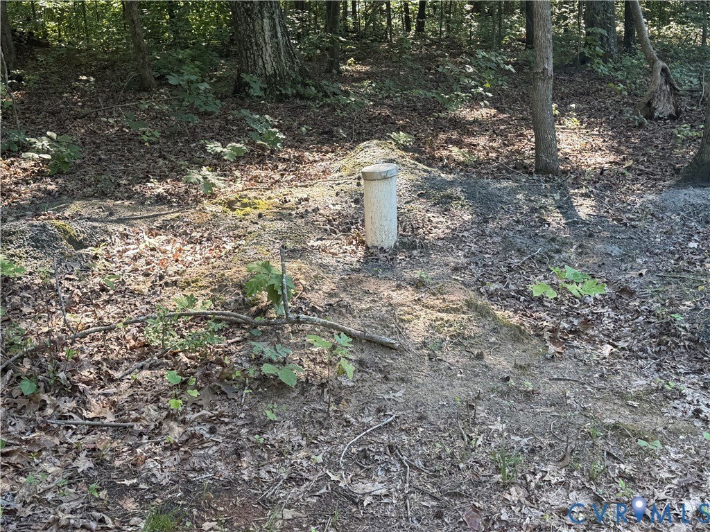 Picture 11