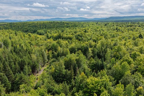 Waterfront Land Parcel