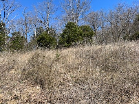 Holiday Island Building Lot