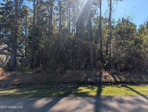 Residential Land in Diamondhead, MS