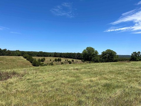 80 Acres Near Fifty Six