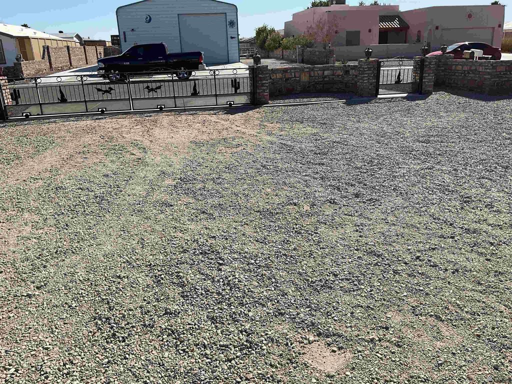 Picture 21
