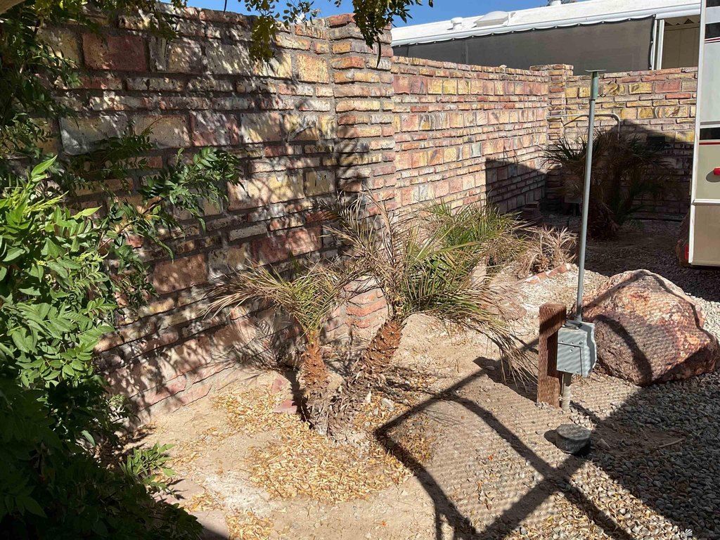 Picture 20