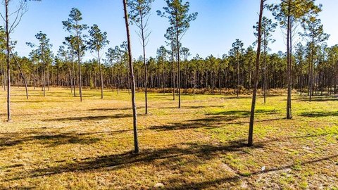 Land, Moscow, TX