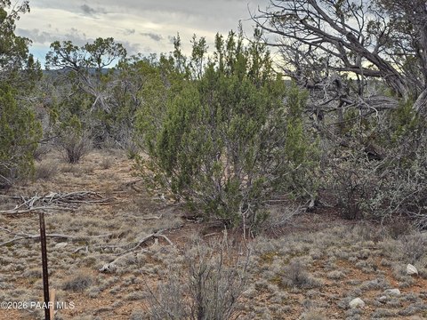 Land, Seligman, AZ