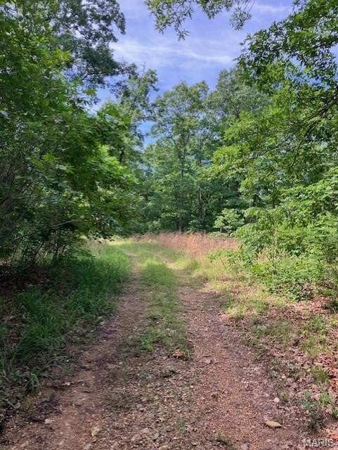 Ozarks Land Ready for Development