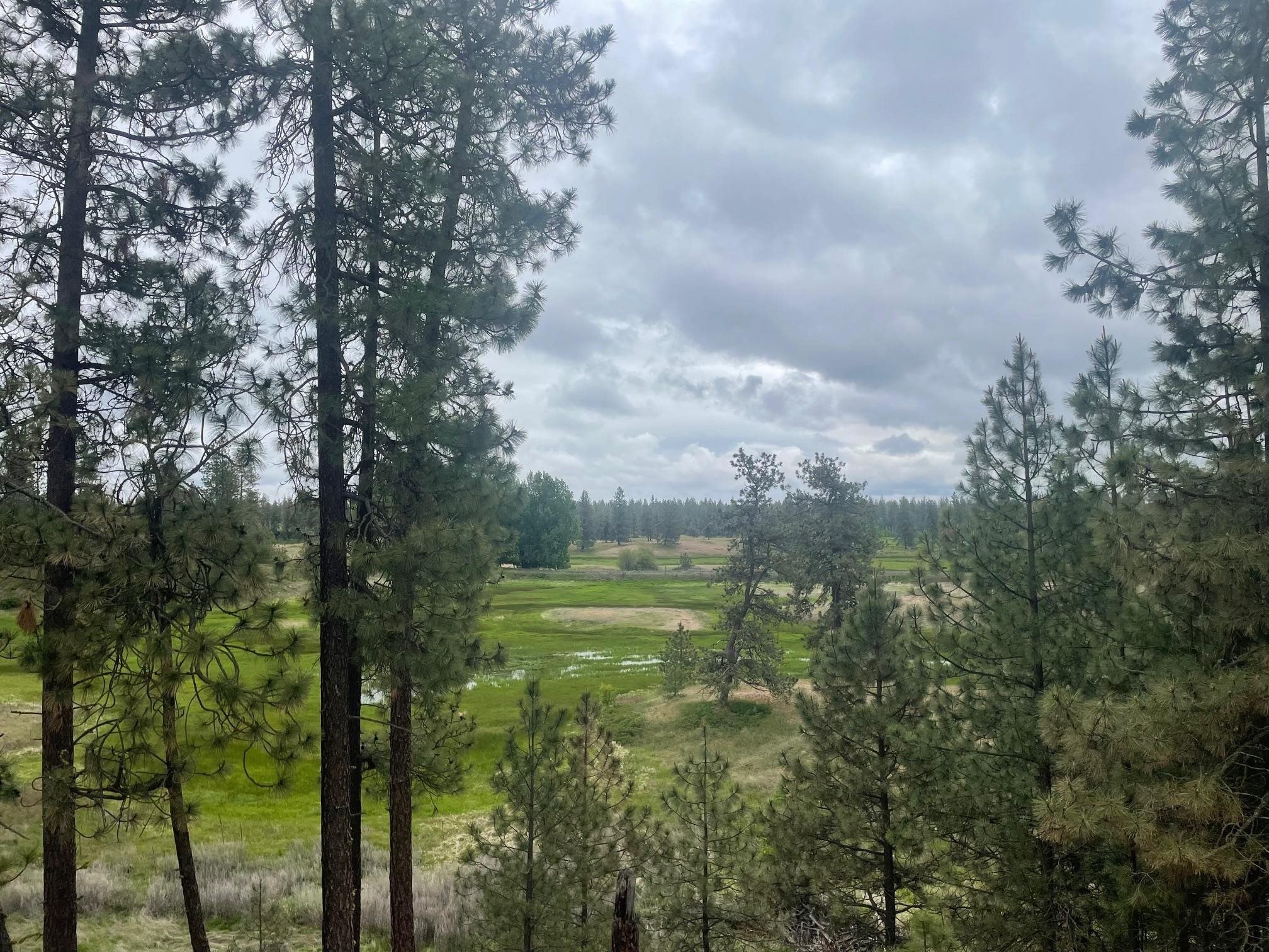 Cheney WA 10-Acre Building Lot