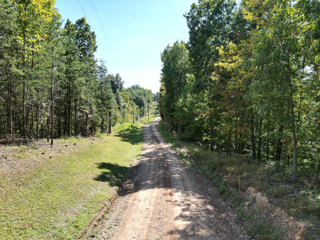 Picture 20