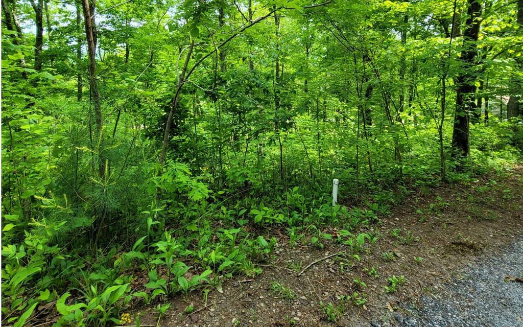 Picture 23