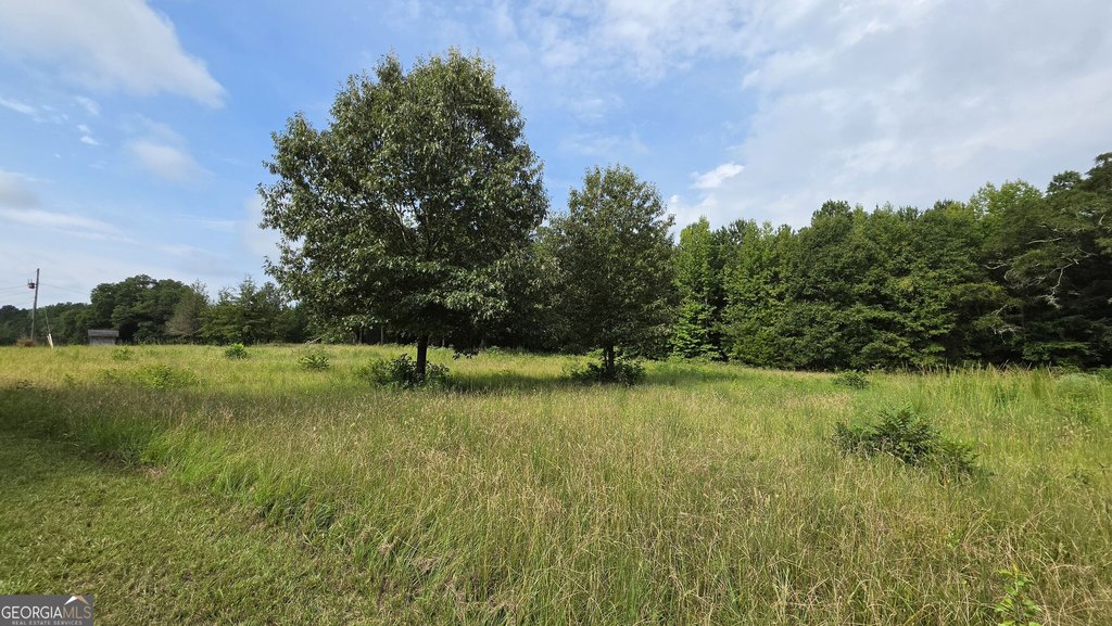 Picture 11