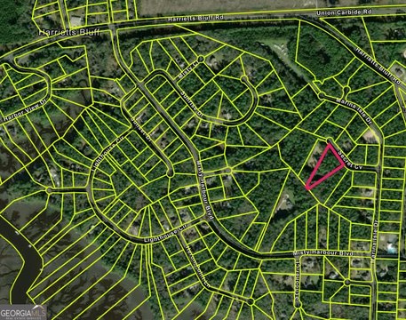 LAND - Woodbine, GA