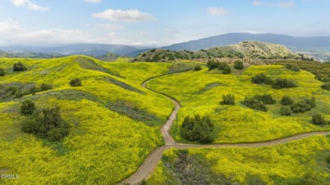 Agricultural Land Parcel