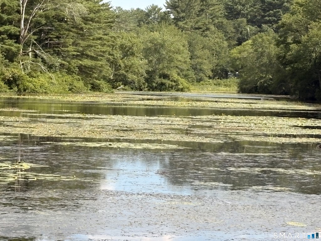 Picture 13