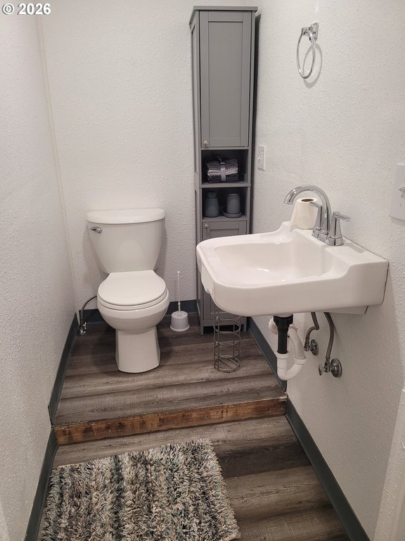 Picture 16