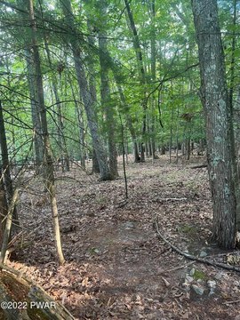 Lakeville Land with Lake Rights