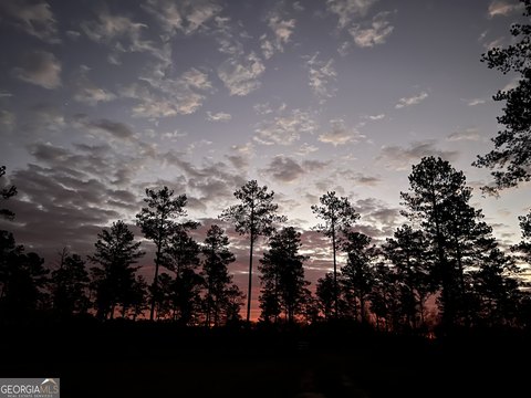 Spacious Land in Elko, Georgia