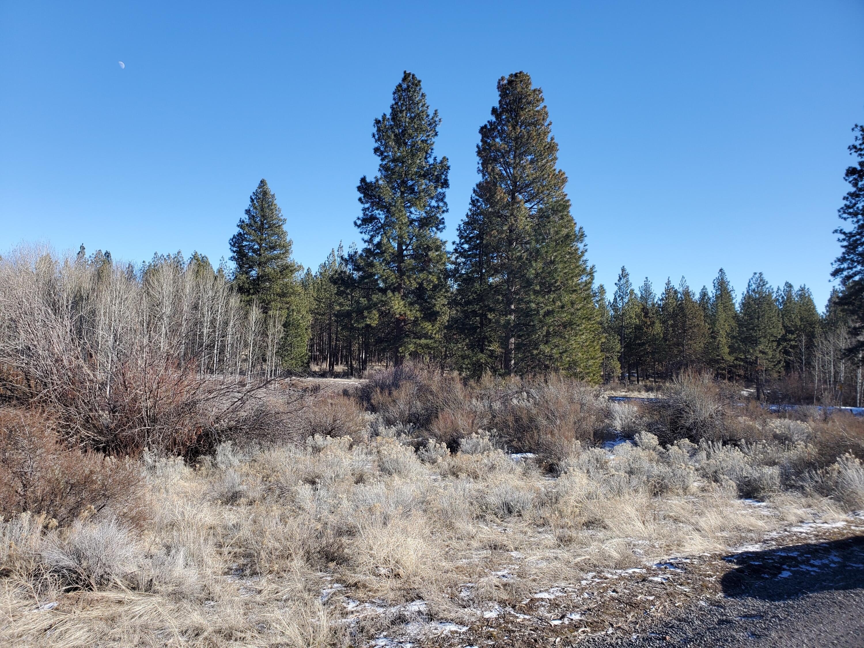 Oregon Shores Acreage For Sale