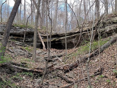 51 Acres of Mixed Use Land