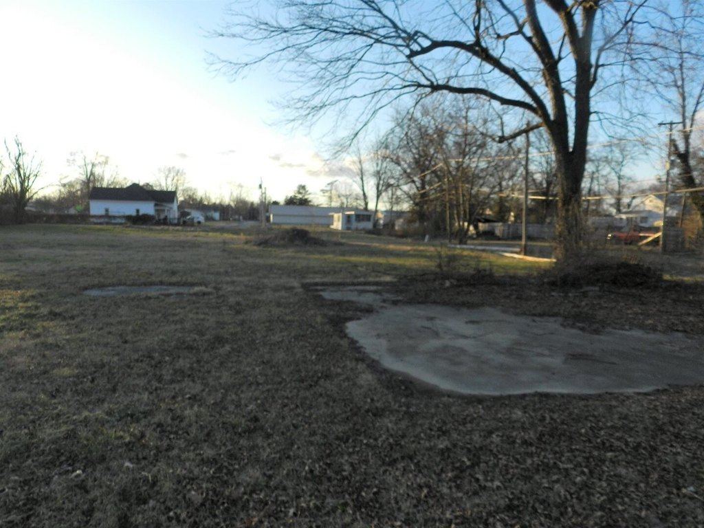 Picture 5