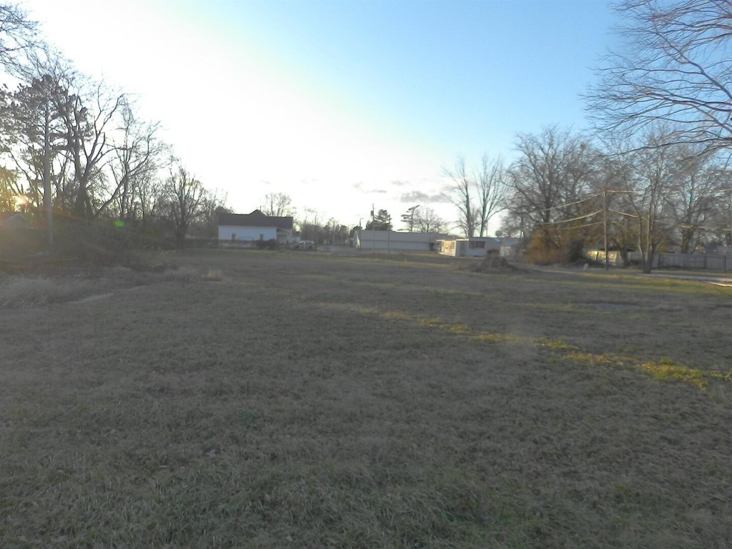 Picture 2
