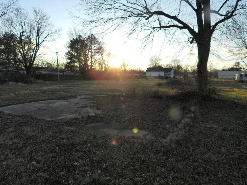 Picture 7