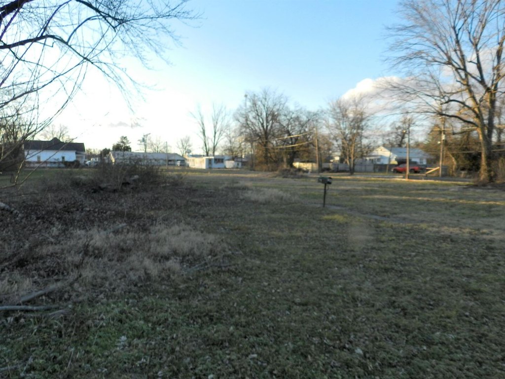 Picture 3