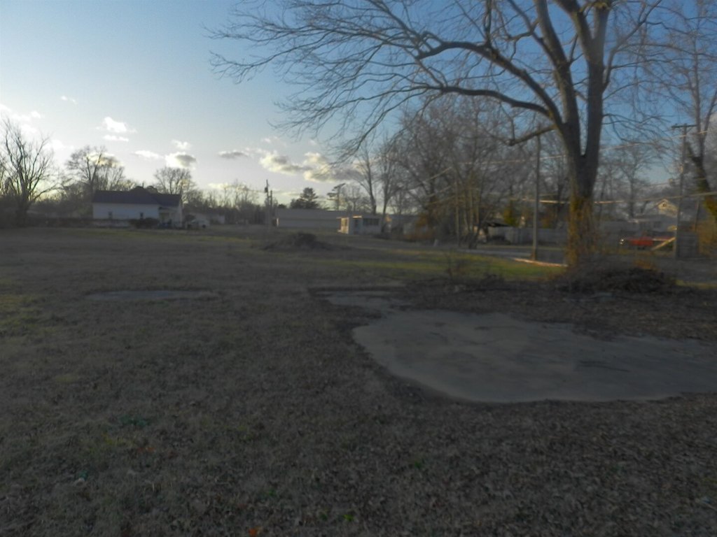 Picture 6