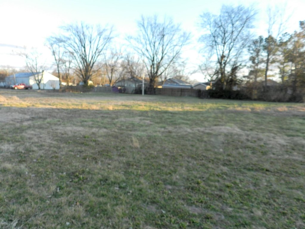 Picture 9