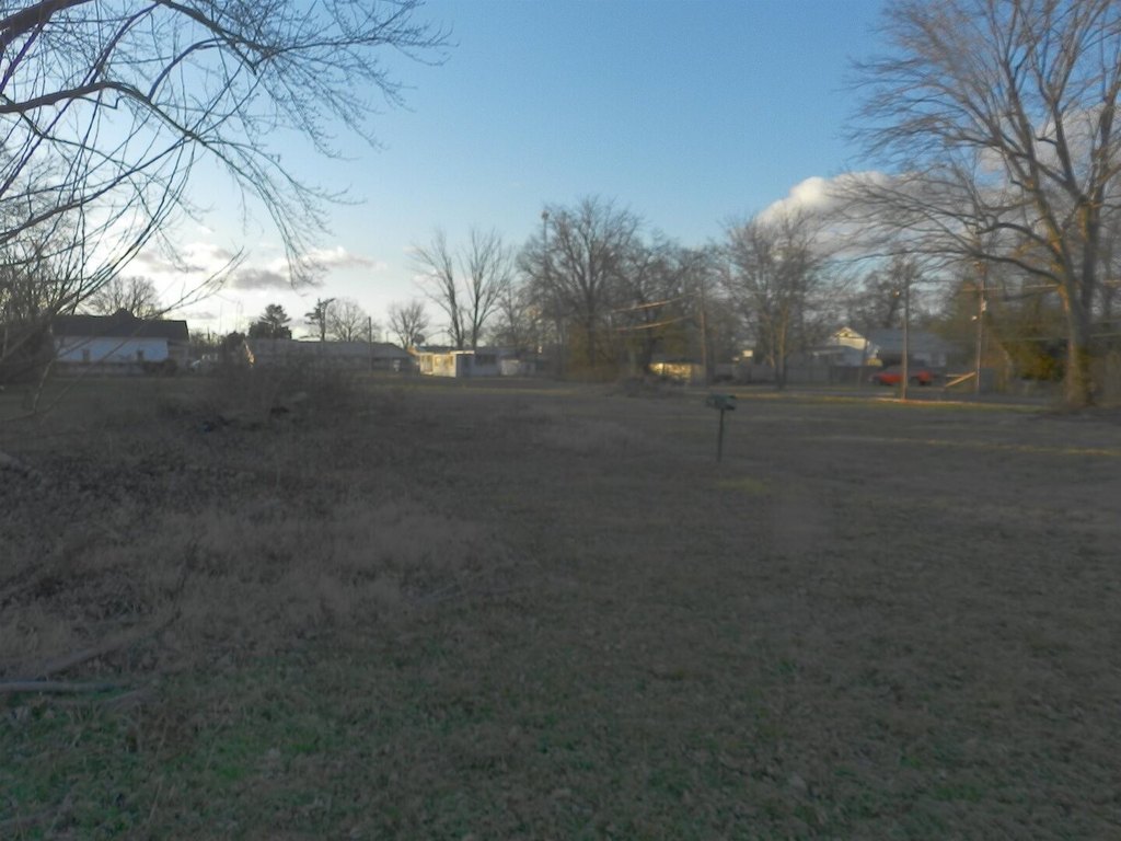 Picture 4