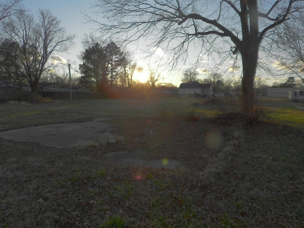 Picture 8