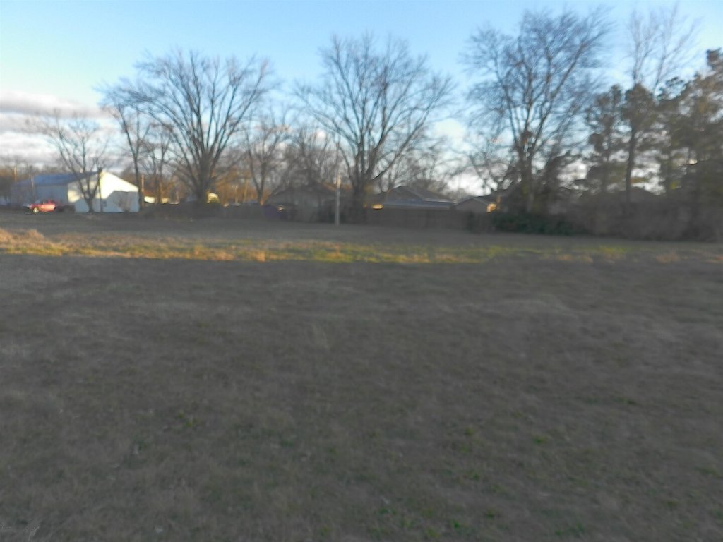 Picture 10