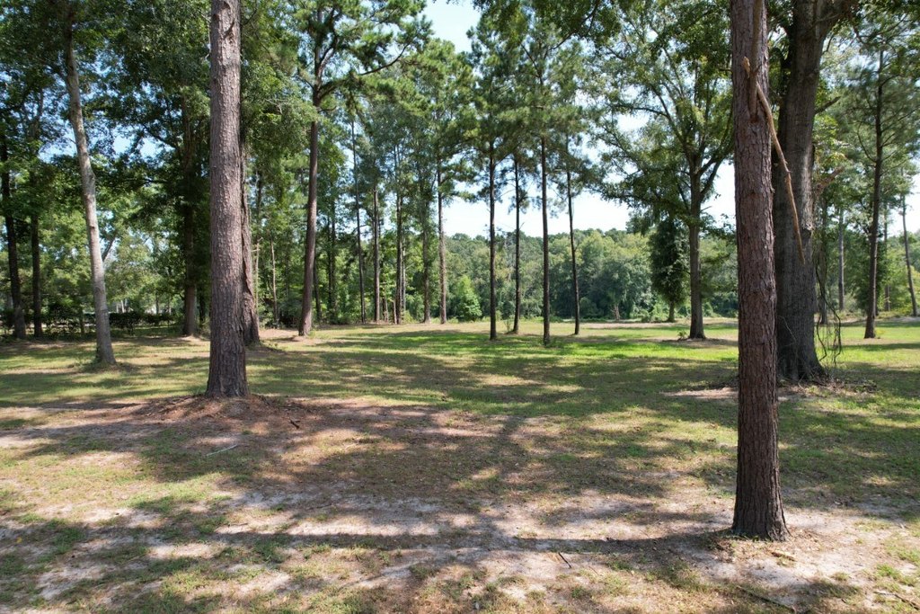 Picture 14