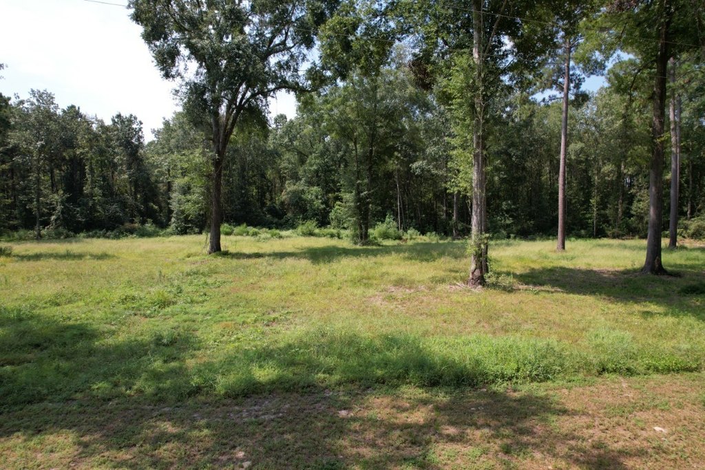 Picture 15
