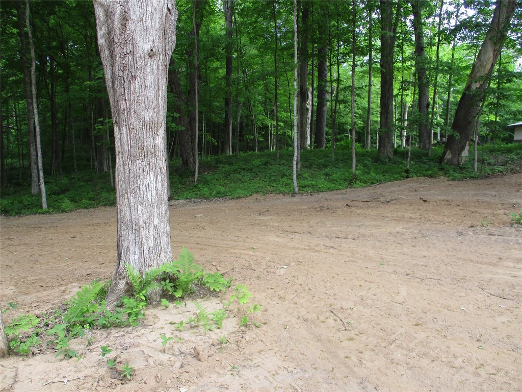 Picture 3