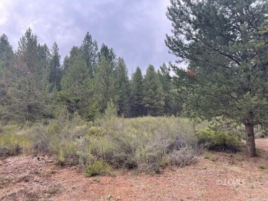 Commercial Land on HWY 140