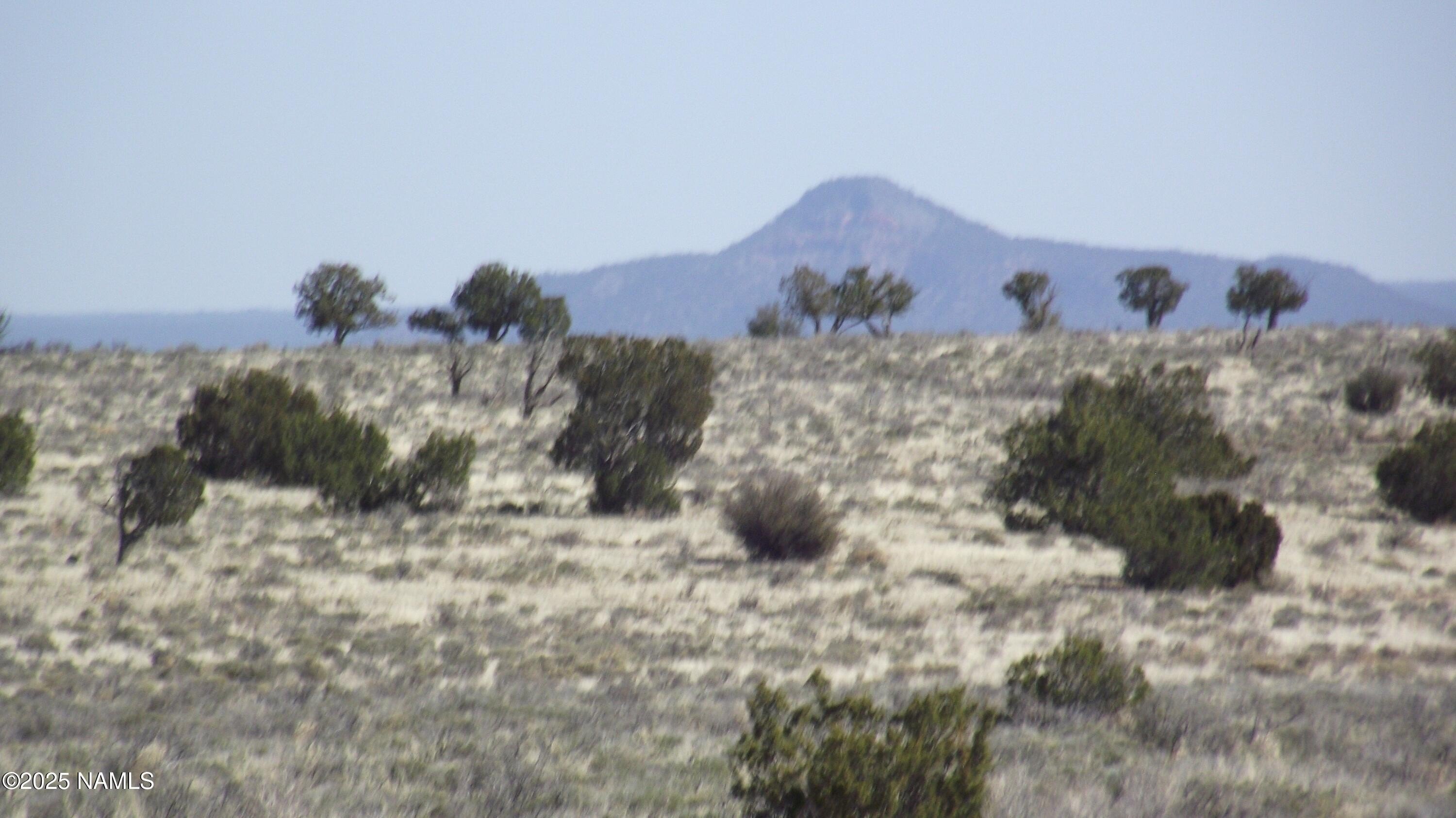 40 Acres with Mountain Views