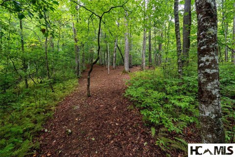 Land, Sapphire, NC