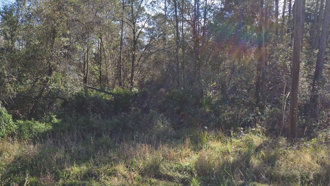 Land For Sale, Palatka, FL