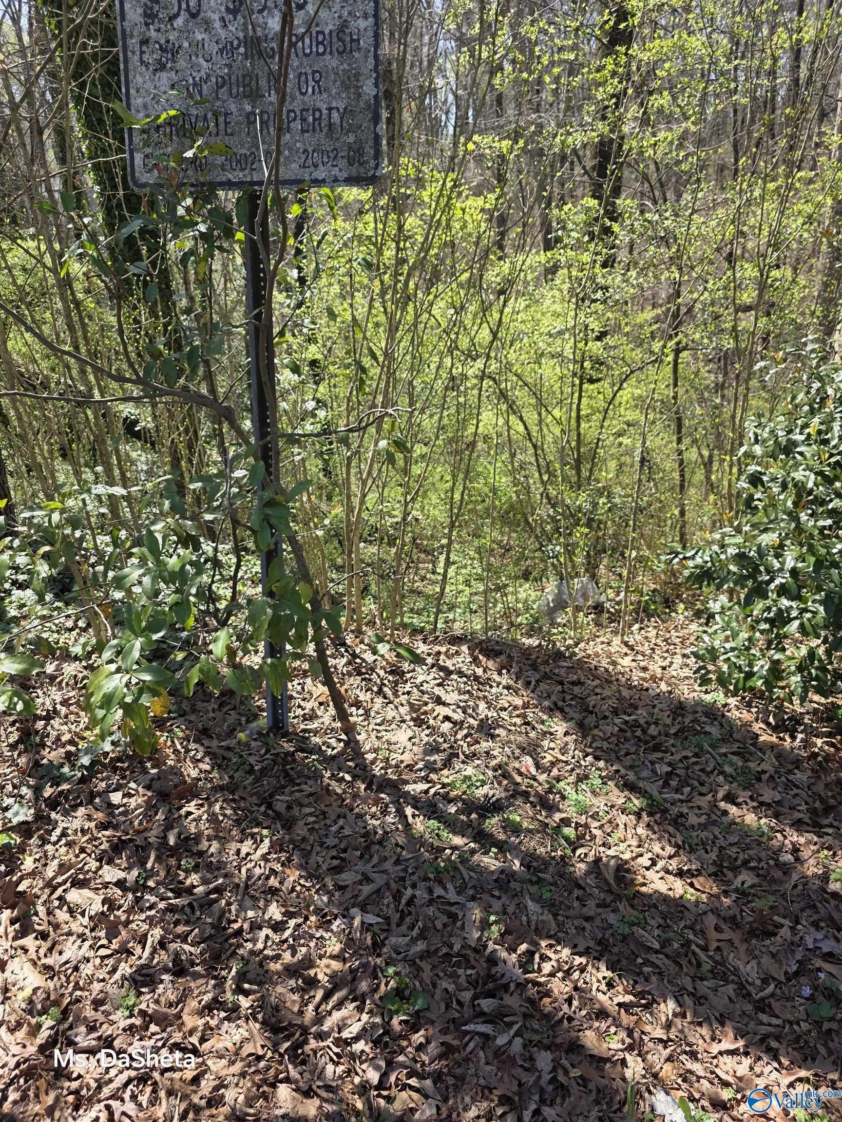 Land in Center Point, AL