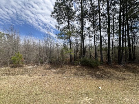 Residential Land Near I-20