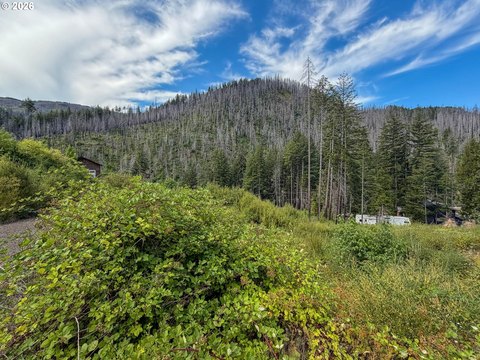 Residential Home Lot with Utilities