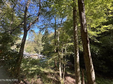 Lots & Acreage, Bean Station, TN