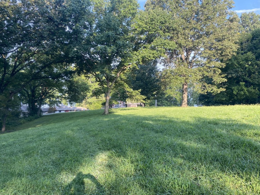 Picture 16