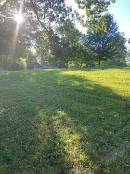 LAND - Cadiz, KY