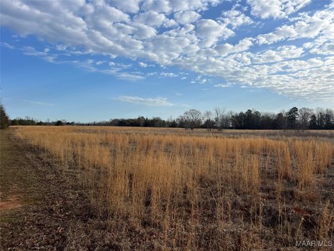 41.4 Acres in Redland Area