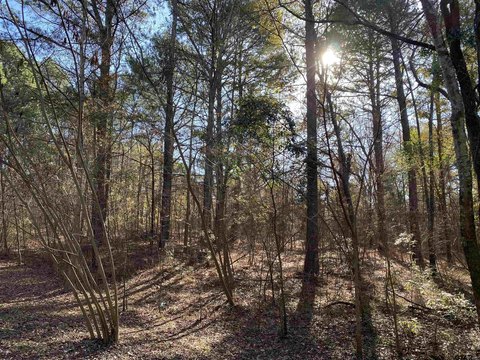 LAND - Frankston, TX