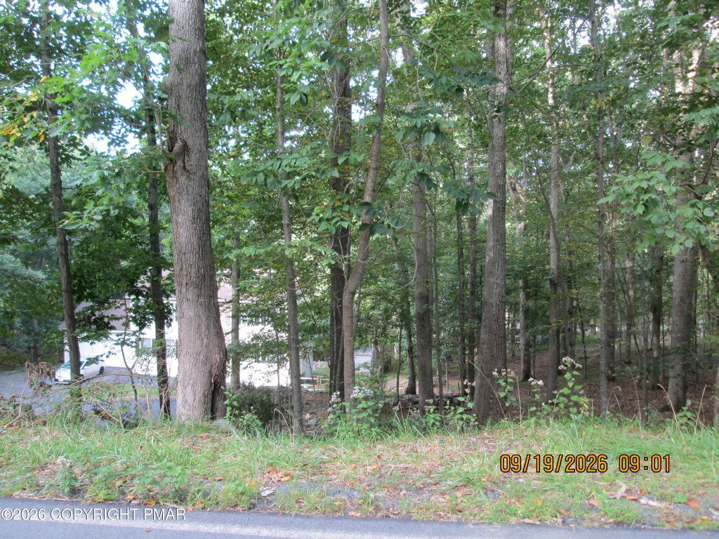 Picture 3