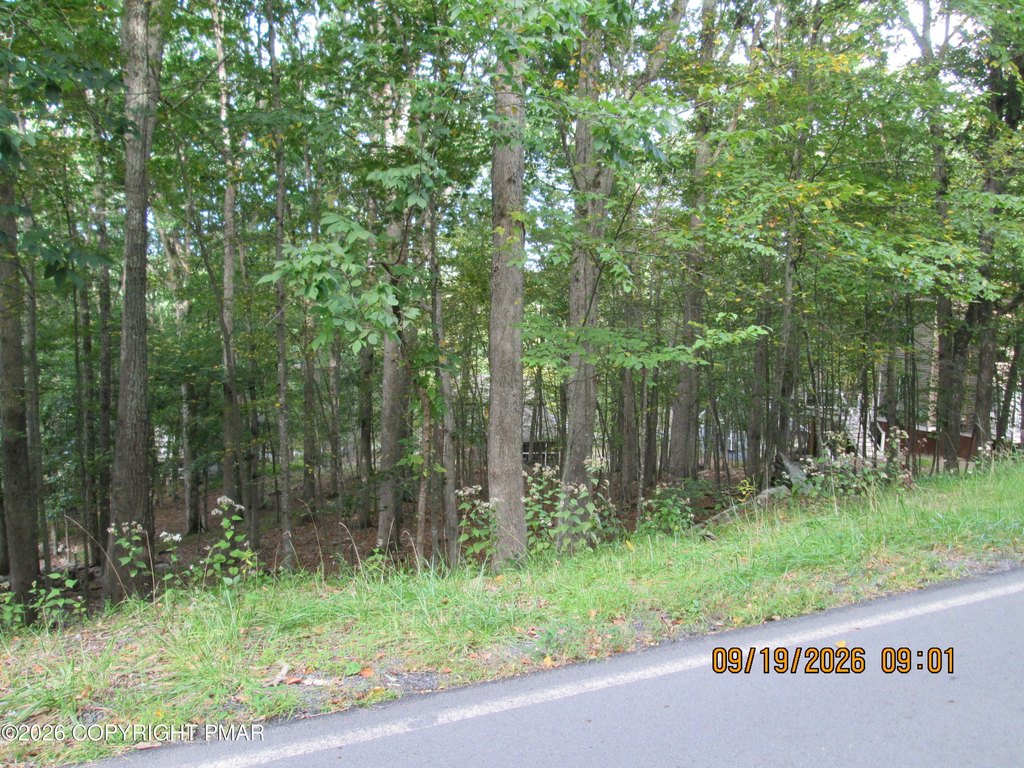 Picture 2