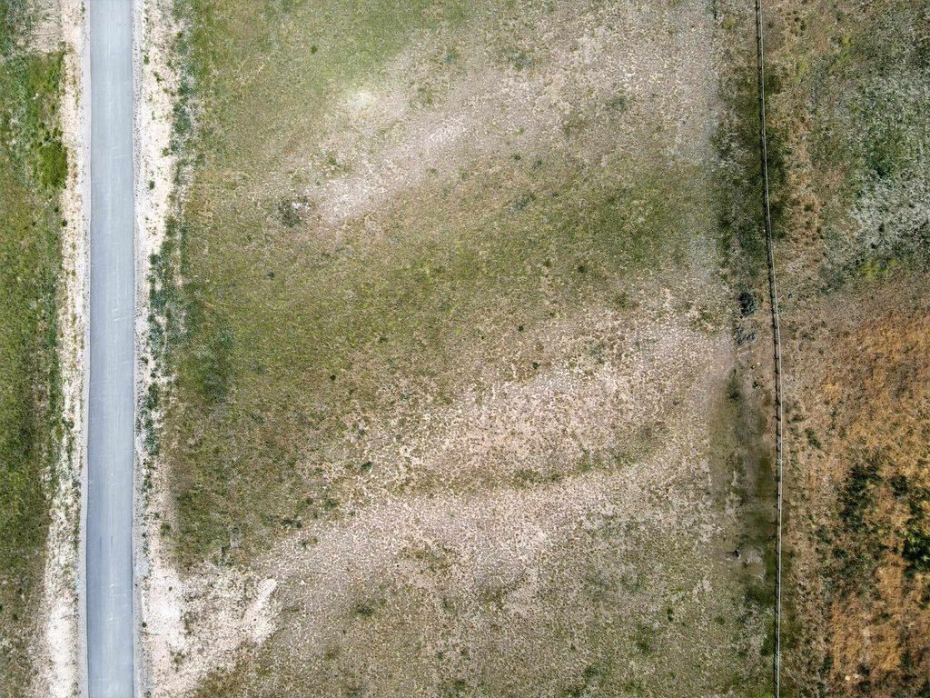 Picture 13