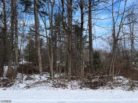 LAND - Montague Twp., NJ